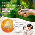 富士山棒ほうじ茶 3g×15p